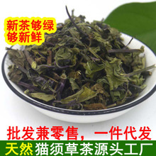 云南西双版纳肾茶