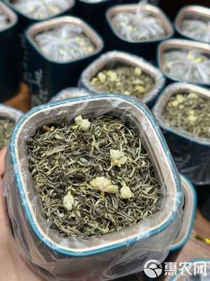 茉莉银针 茉莉花茶 广西横县茉莉茶 花茶 罐装浓香批发价绿茶