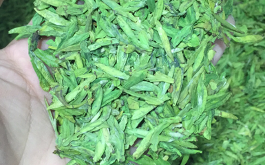 龙井绿茶新茶上市