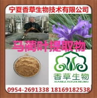 马莲 马莲价格 报价 马莲品牌厂家