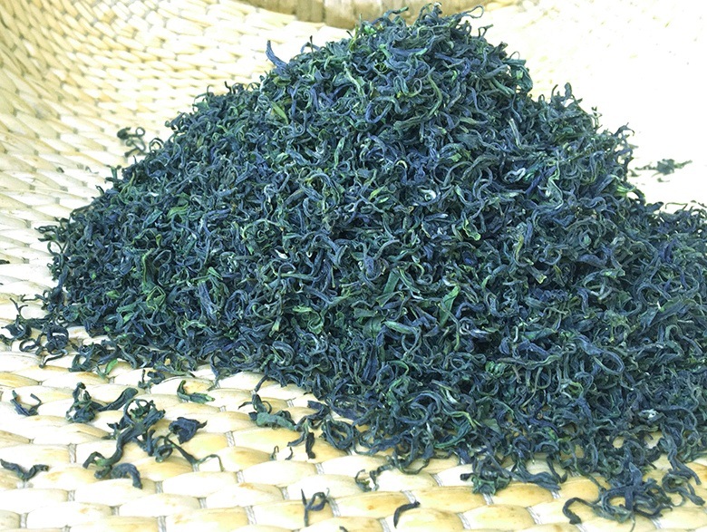 绿茶批发茶叶日照202新茶浓香型礼盒装500g高山工厂跨境电商批发