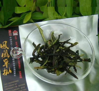 乌龙茶茶叶批发 散装特级凤凰单枞茶 提神清香甘甜抗辐射单丛茶