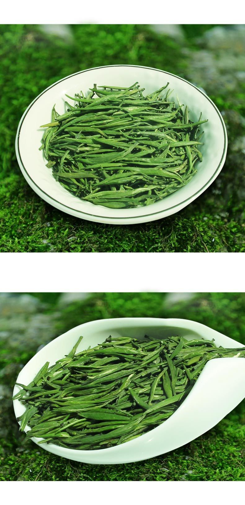 【图】天然茶叶批发兼零售 高山一级湄潭翠芽 贵州产地高端.
