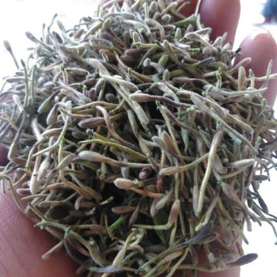 金银花供应与批发 茶叶批发兼零售市场解析