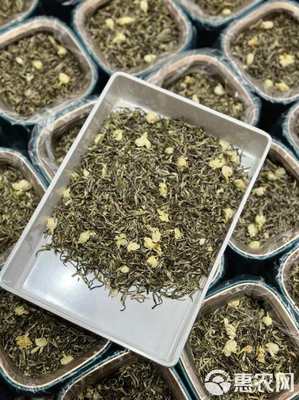 茉莉银针 茉莉花茶 广西横县茉莉茶 花茶 罐装浓香批发价绿茶
